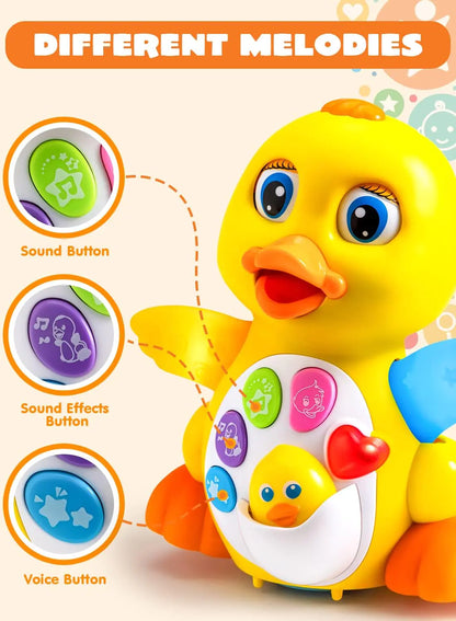 Baby Musical Duck Toy